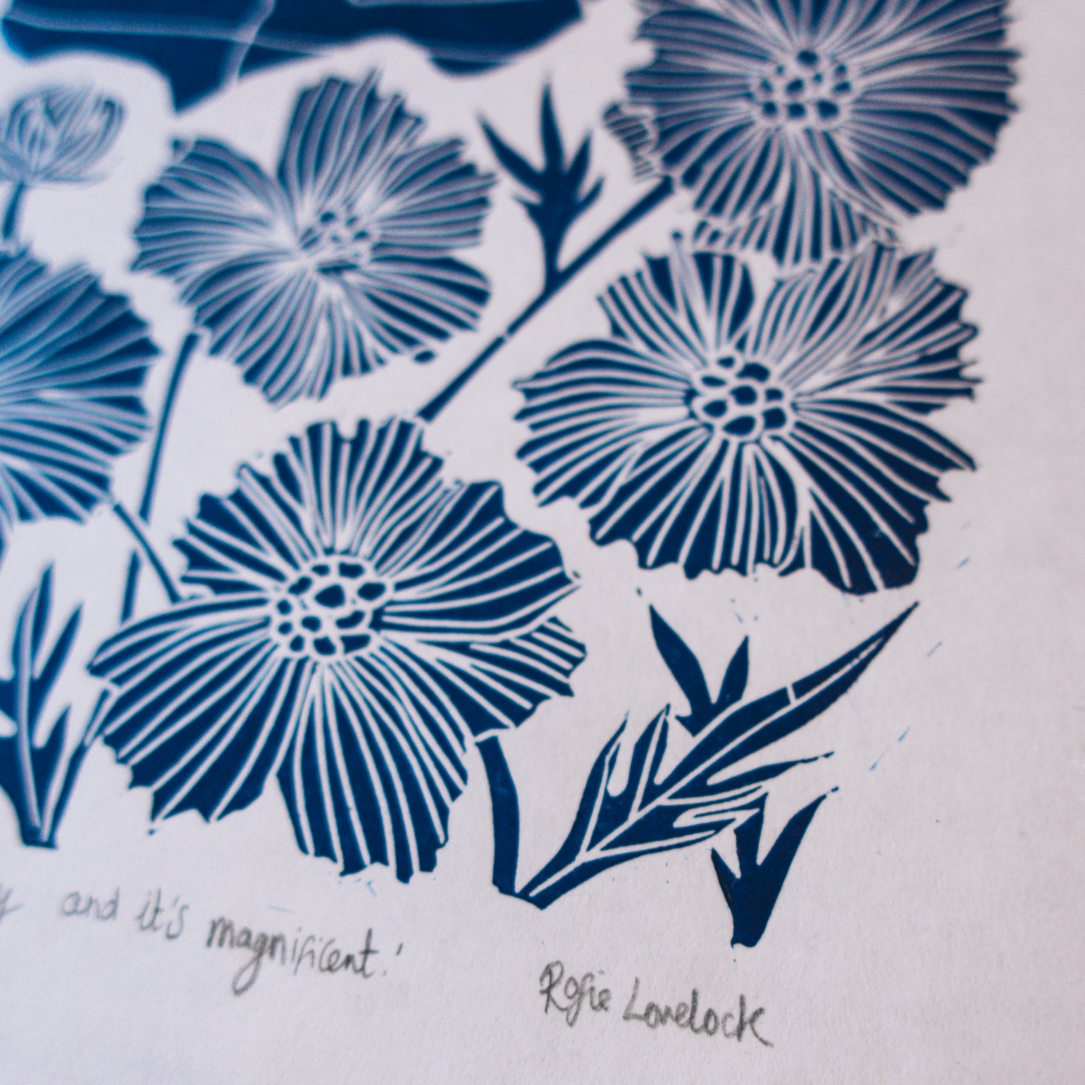 We got a glimpse of our why and it was magnificent